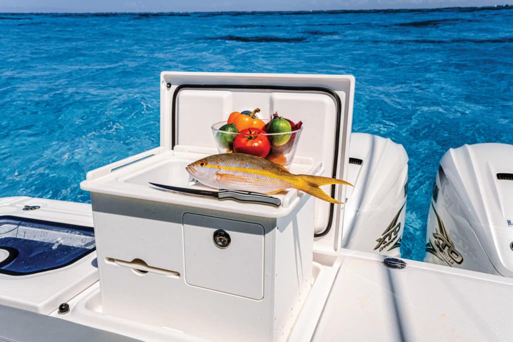 Everglades 455cc transom