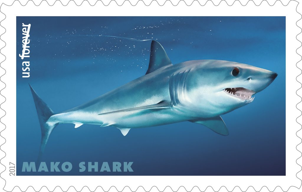 Mako Shark Stamp
