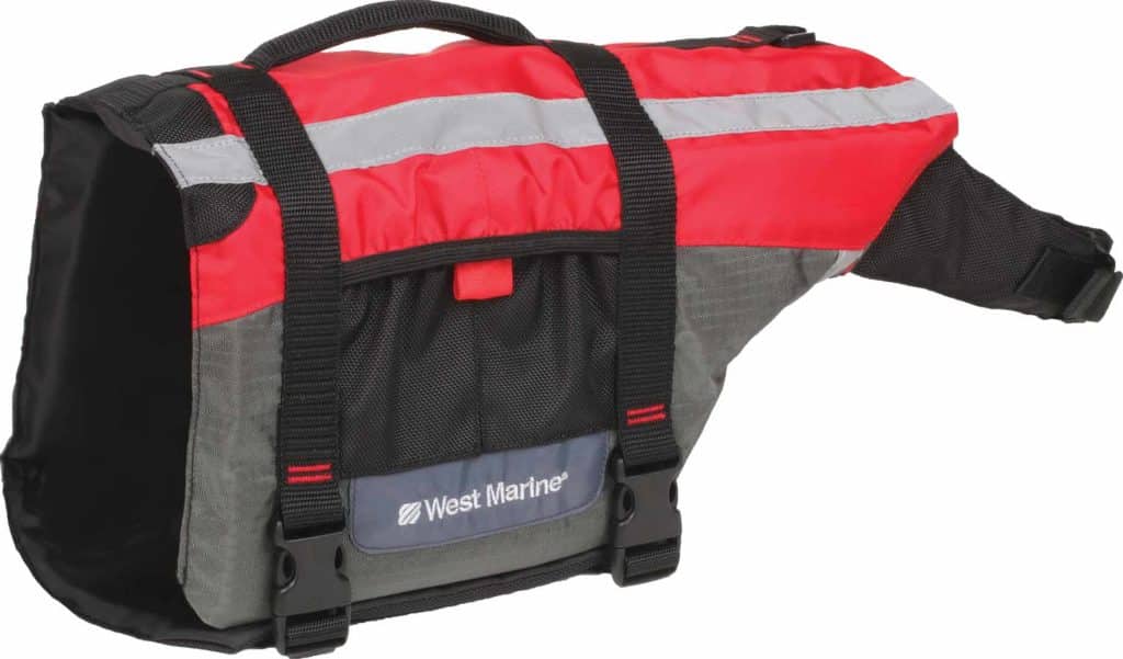 Best Dog Life Jackets