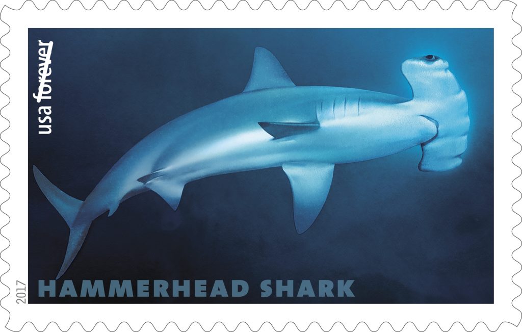 Hammerhead Shark Stamp