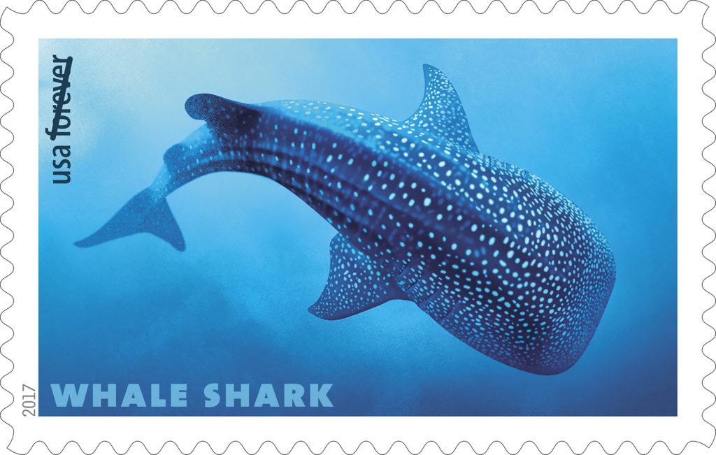 Whale Shark Stamp