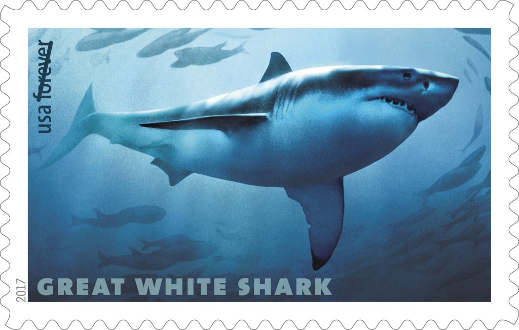 Great White Shark Stamp