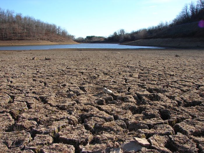 Drought Discoveries