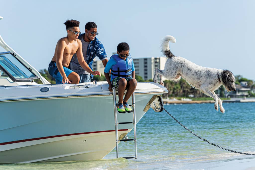 Boston Whaler 240 Vantage at the beach