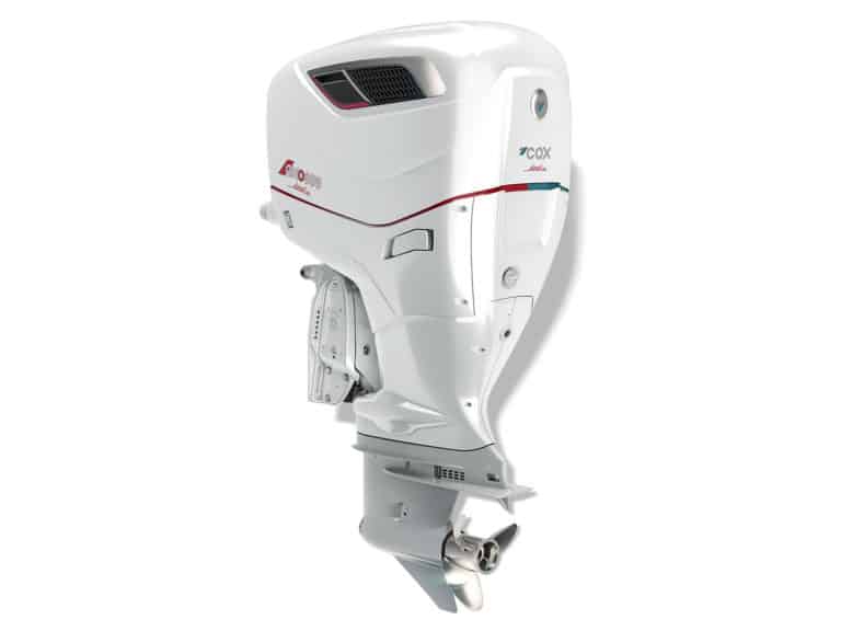 Cox CXO300 in profile