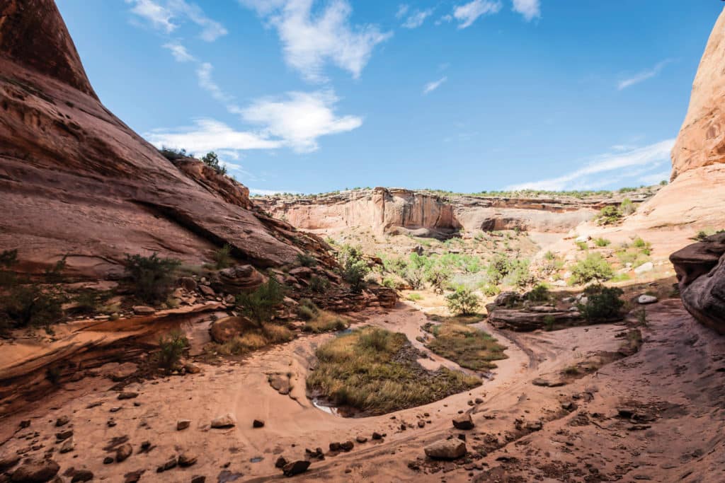 Adventure Boating on the Colorado River