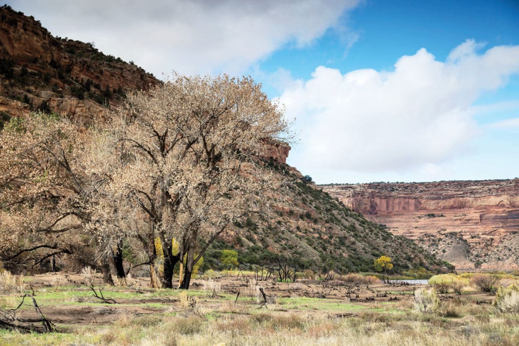 Adventure Boating on the Colorado River