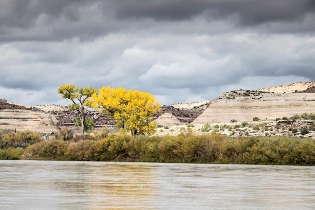 Adventure Boating on the Colorado River