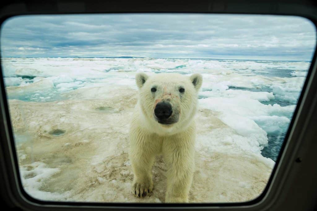 Cruising Arctic Waters in a Small Recreational Boat