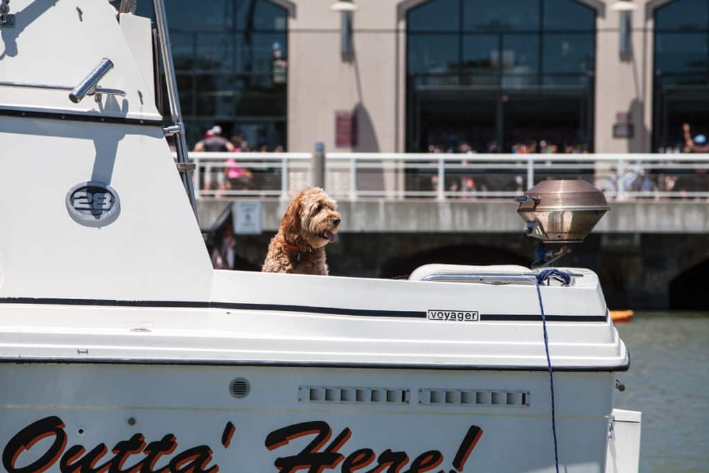 Baseball Games By Boat