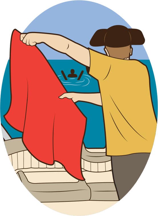 A Comical Look At Waterski Flags