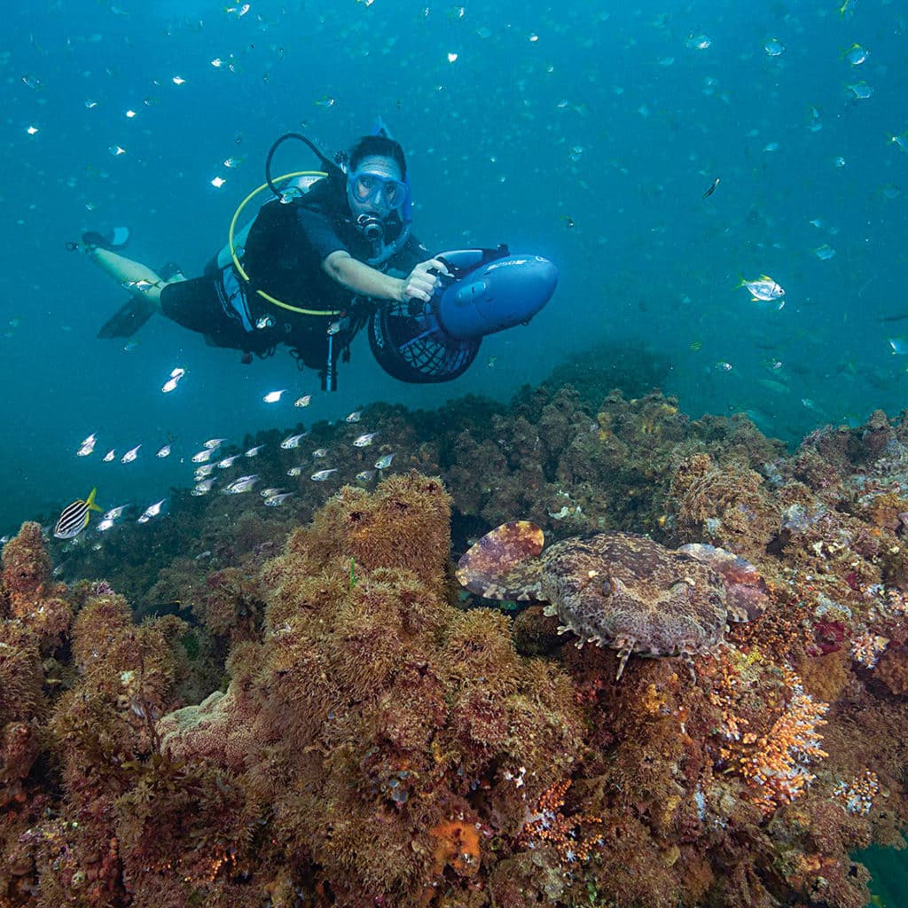 Yamaha RDS250 Underwater Seascooter around a reef