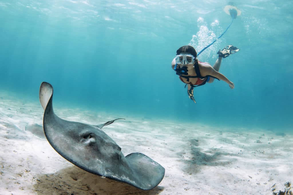 BLU3 Nemo Dive System swimming with stingrays