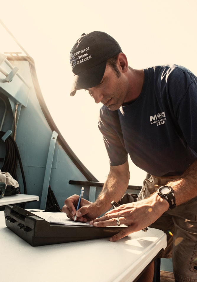 Tracking Great White Sharks With Ocearch