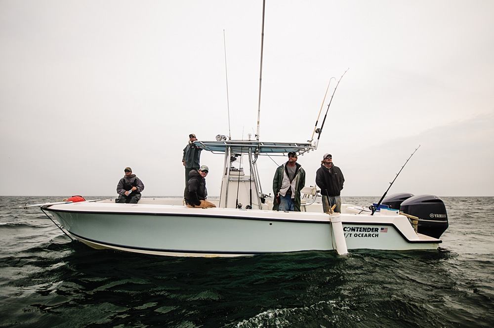 Tracking Great White Sharks With Ocearch