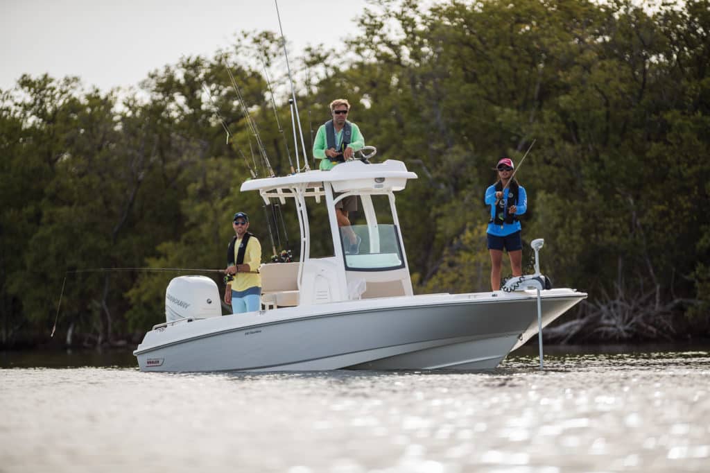 Boston Whaler 240 Dauntless Pro