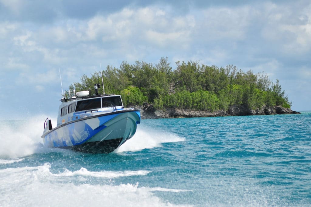 Fabio Buzzi running fast in Bermuda