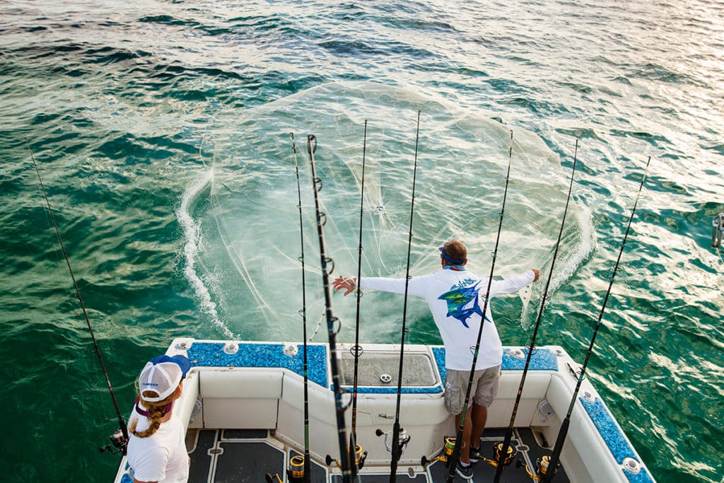 Choosing a Cast Net