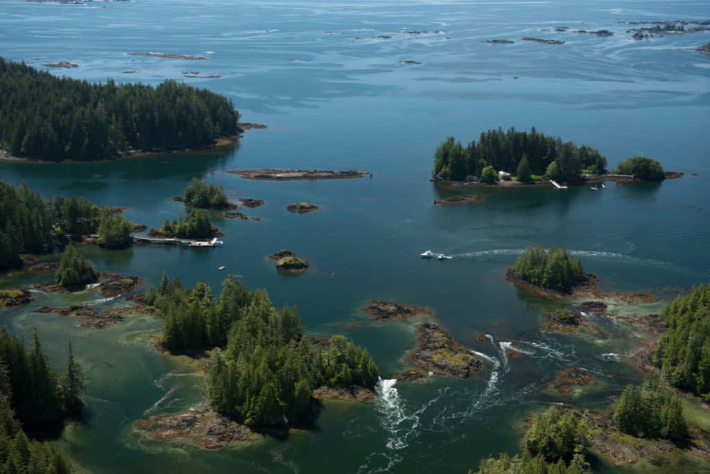 Fishing Vancouver Island Aboard A Grady-White