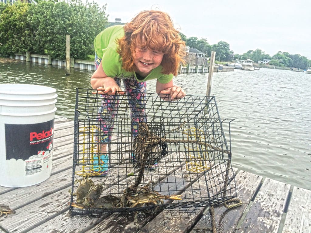 Harvesting Seafood From Your Boat