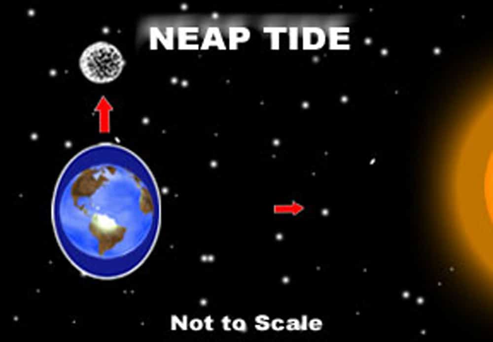 Twelve Types Of Tides