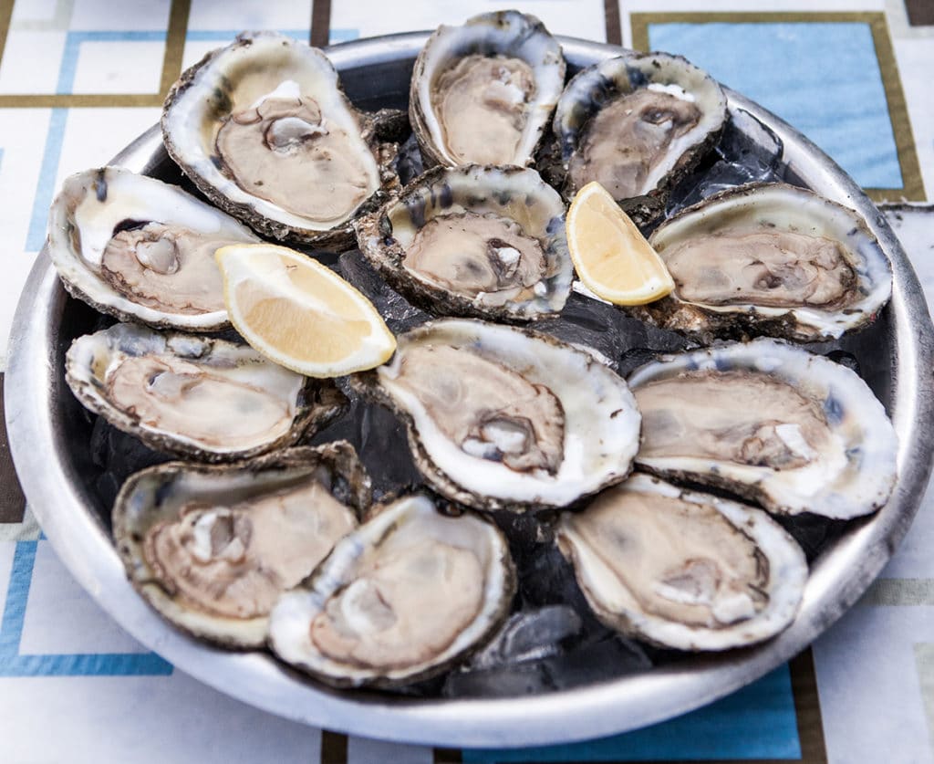 Harvesting Seafood From Your Boat