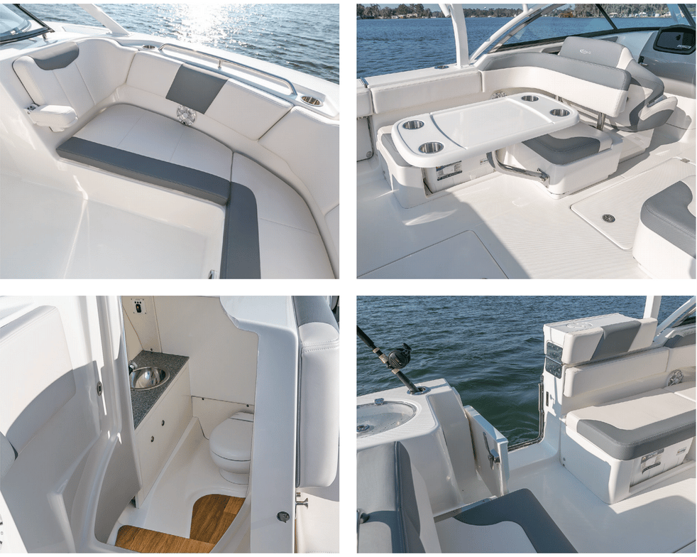 Robalo R317 cockpit views