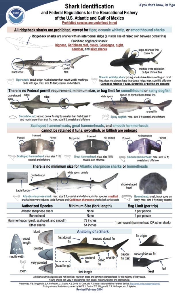 Shark Fishing Regulations 2015
