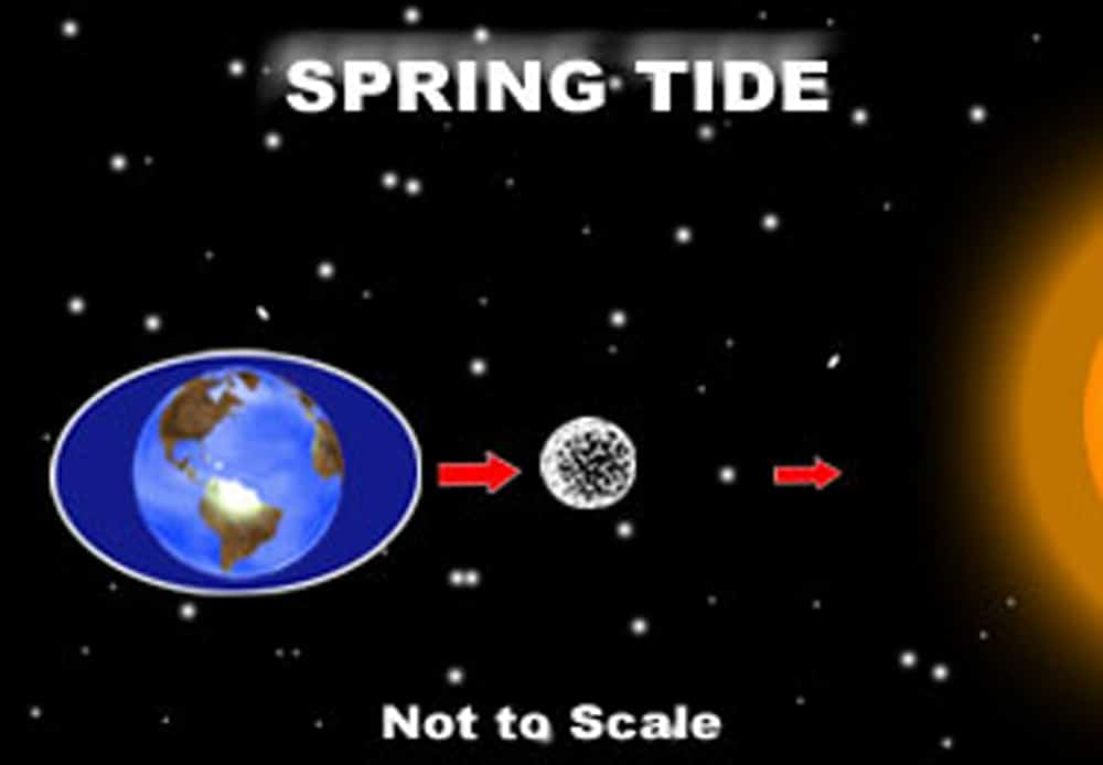 Twelve Types Of Tides