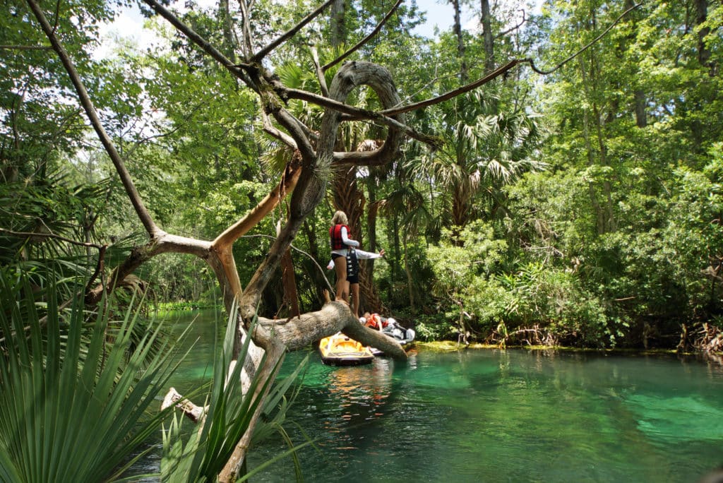 Crystal Clear water ast Silver Springs