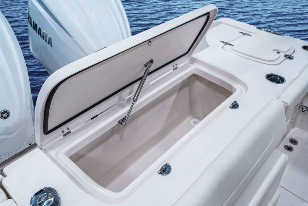 Freedom 307 transom storage