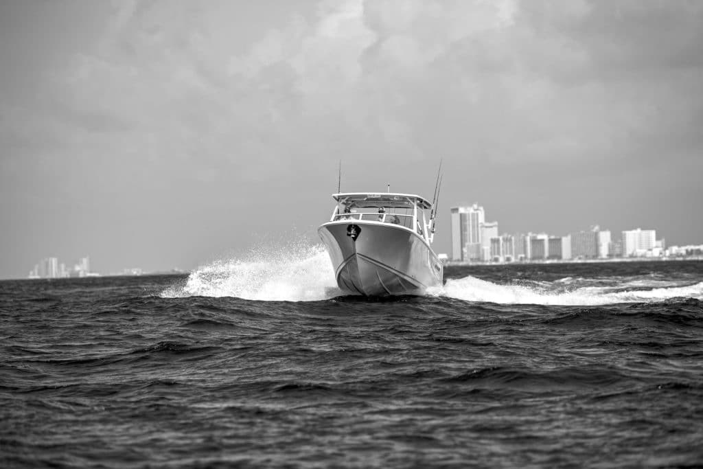 Sailfish running in the ocean