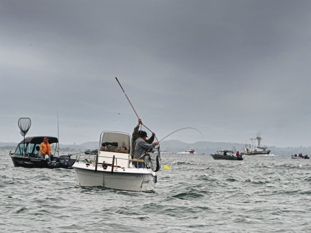 Anglers grouped on the Columbia River