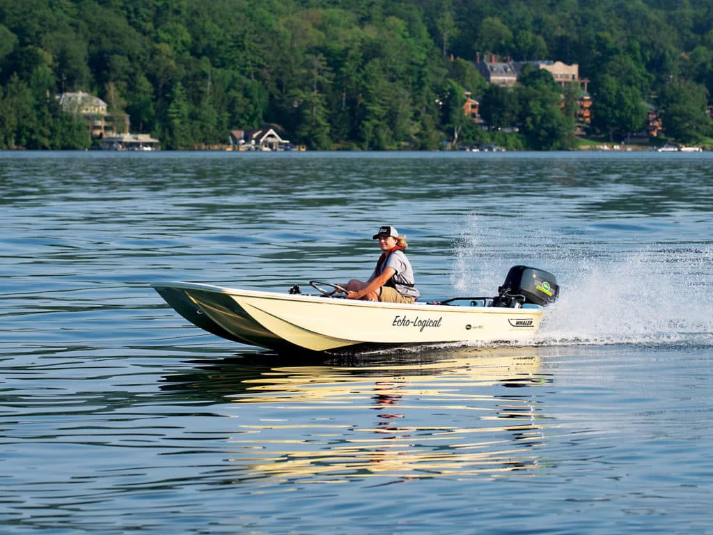 Boston Whaler with electric power