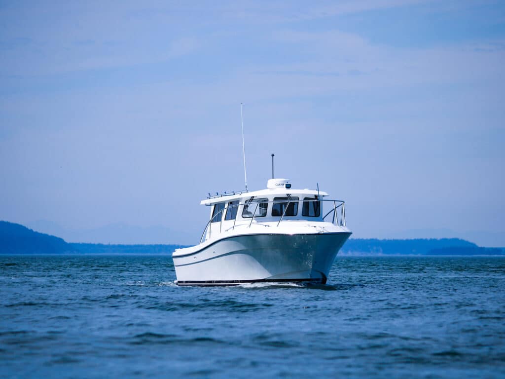 Ocean Sport Roamer 30 at rest