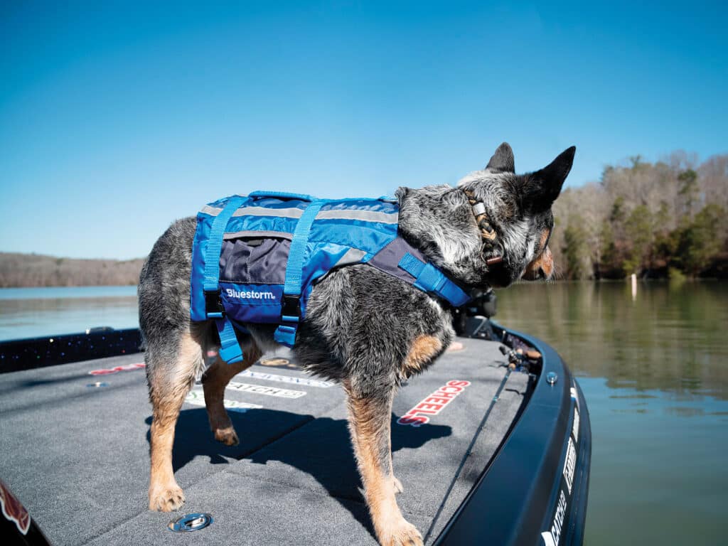 Bluestorm Gear Dog Paddler