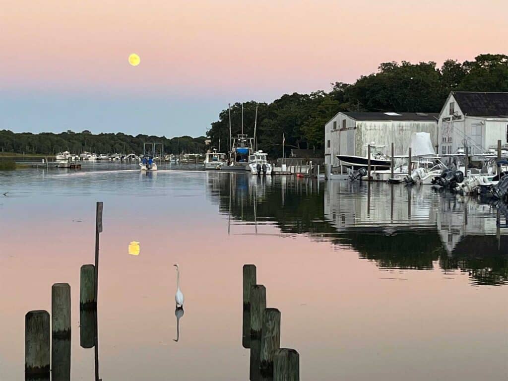 Heading out at high tide