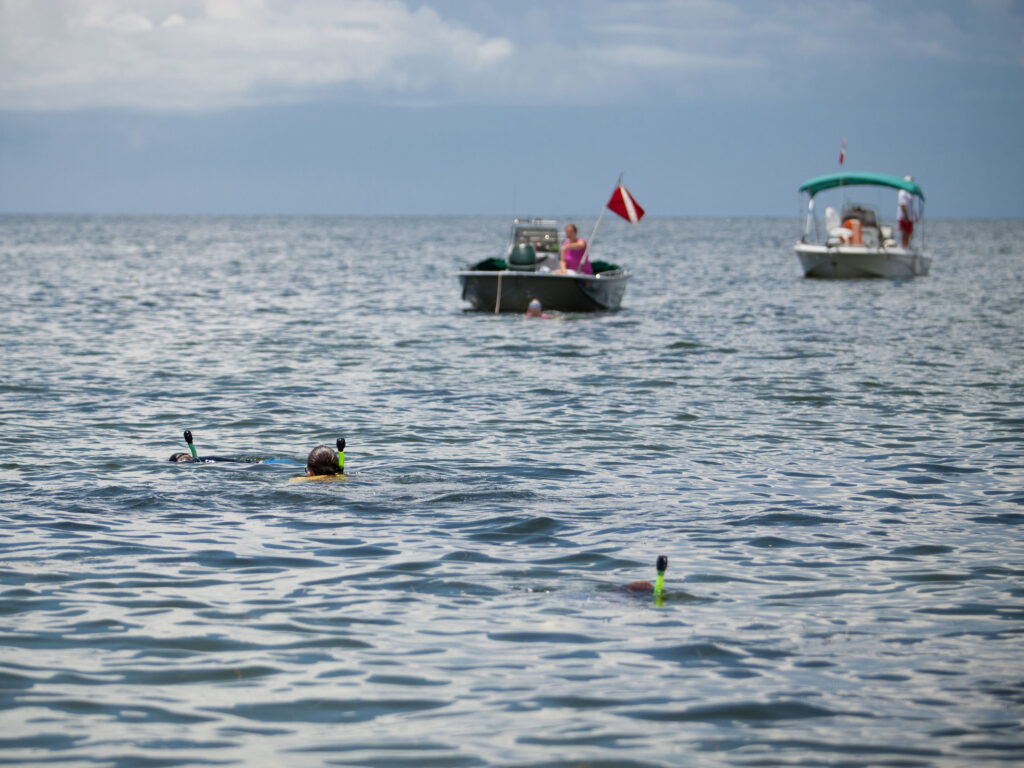 Boats with snorkelers out